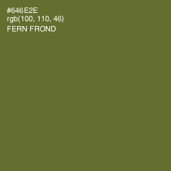 #646E2E - Fern Frond Color Image
